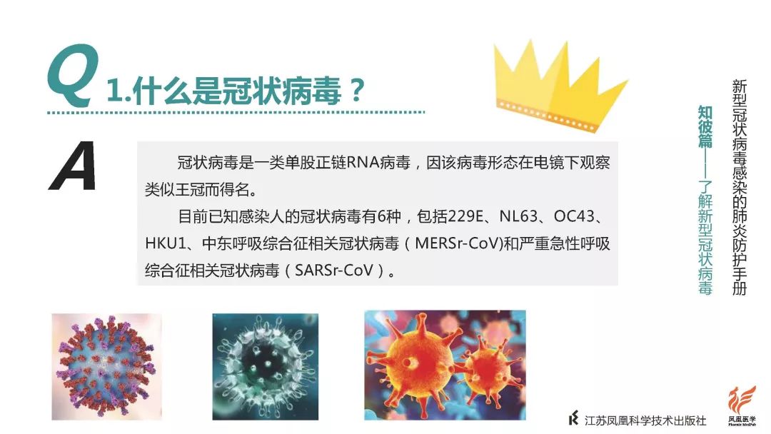 最新新型冠病毒，背景、重大事件与影响分析