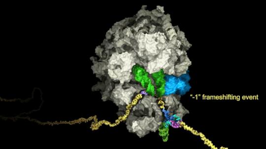 爱尔兰新冠疫情最新动态及最新发展概况