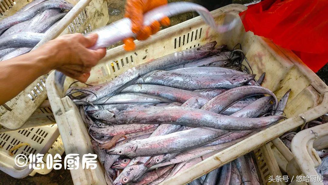 揭秘!2斤鲅鱼的价格大公开!