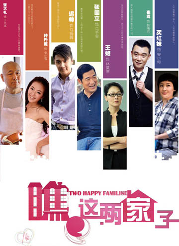 瞧这两家子演员表深度解析,角色与演技探究