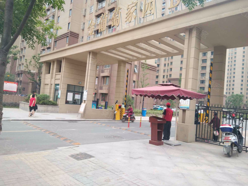 金葡萄家园最新动态,家的温馨与友情的绽放时刻