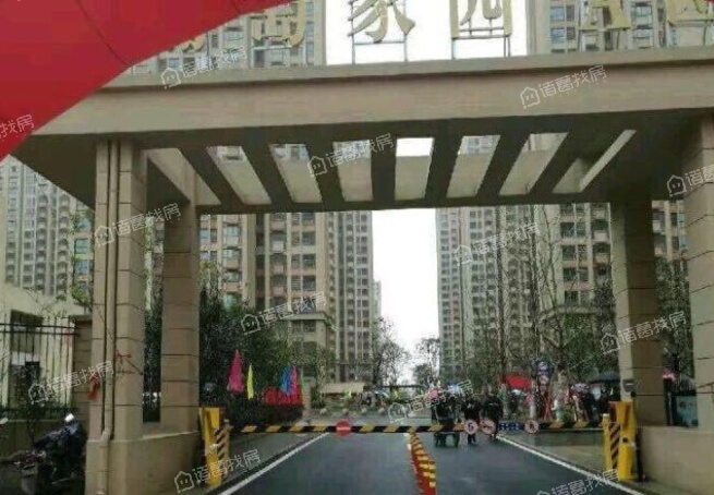 金葡萄家园最新动态,家的温馨与友情的绽放时刻