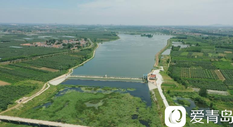 莱西水库最新动态,全面指南