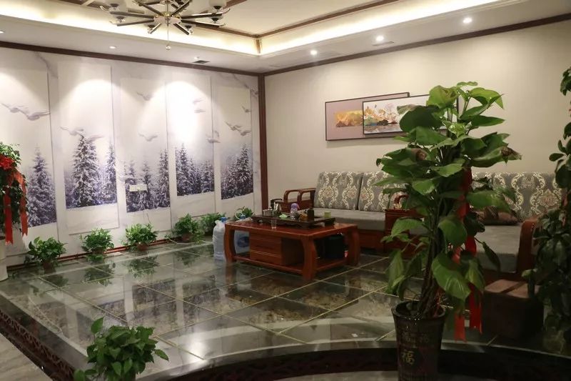 新蔡世纪神华最新动态,变化中的力量,学习成就自信与成长之路