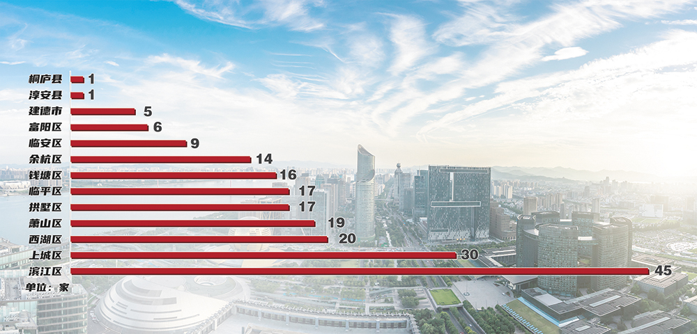 杭州上市公司深度揭秘,一窥企业巨头风采✨