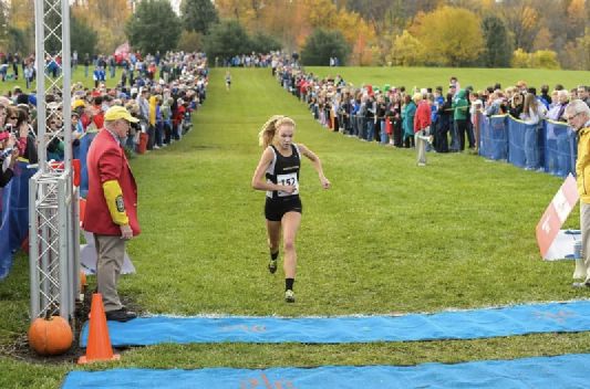 比赛指南,从初学者到进阶用户的详细步骤参考