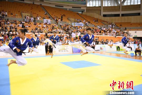 比赛指南,从初学者到进阶用户的详细步骤参考