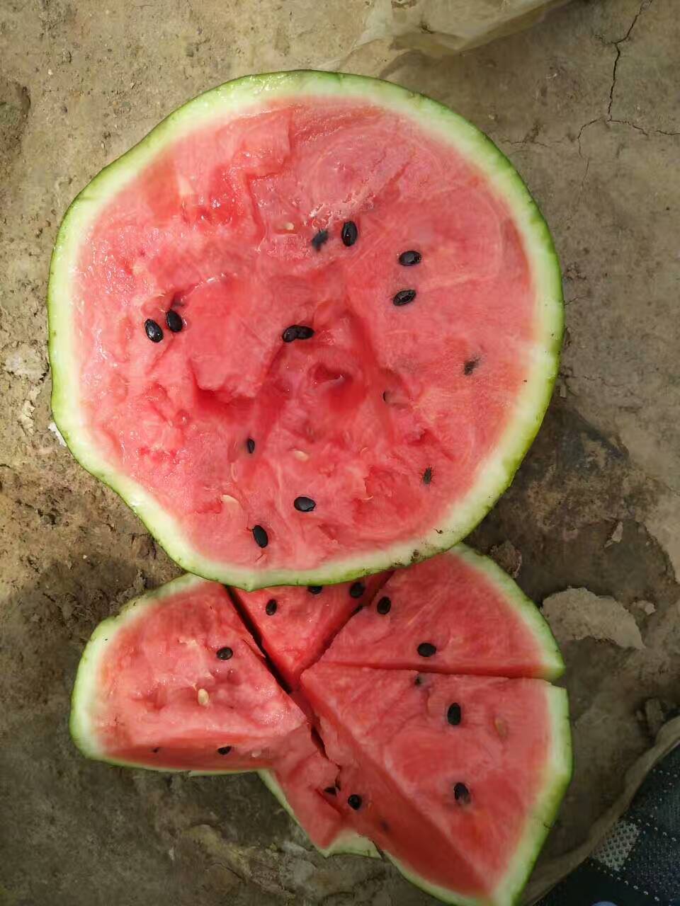 安徽西瓜价格动态,夏日甜蜜纽带揭秘