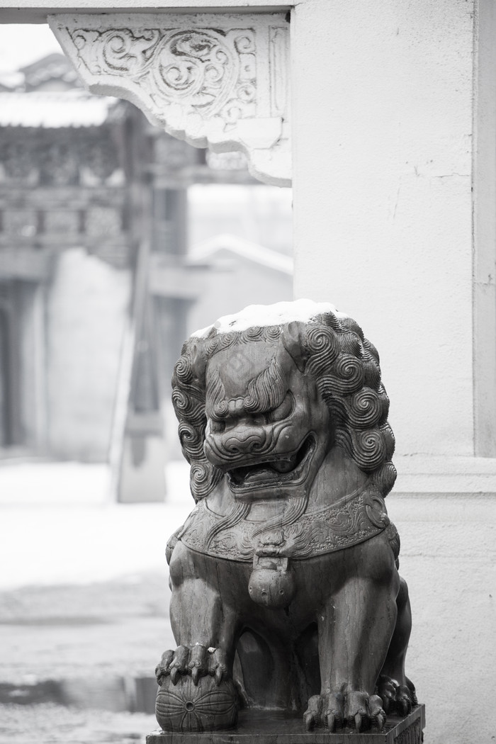 石狮最新写真,蜕变中的自信与力量展现