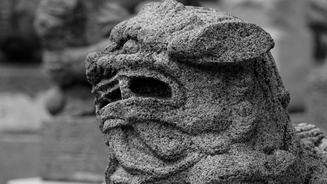 石狮最新写真,蜕变中的自信与力量展现