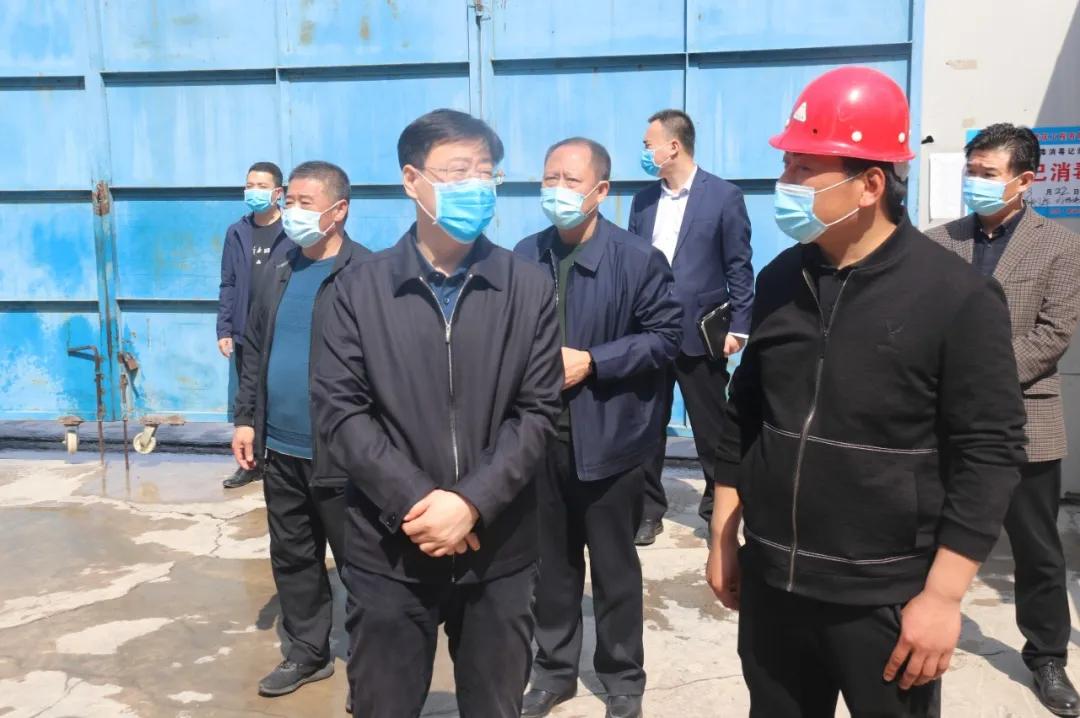 嘉兴桃源林语房价动态解析,多元因素影响下的市场走势分析