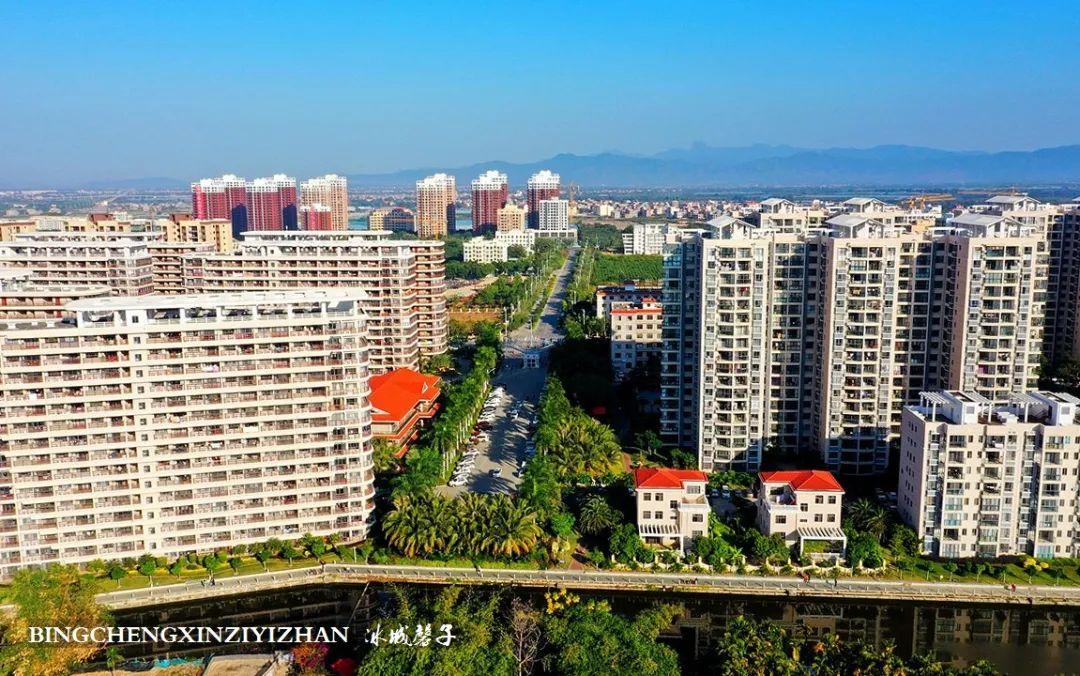 乐东九所绿化动态更新进展顺利,绿化更新持续推进