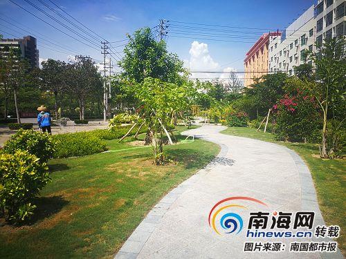 乐东九所绿化动态更新进展顺利,绿化更新持续推进