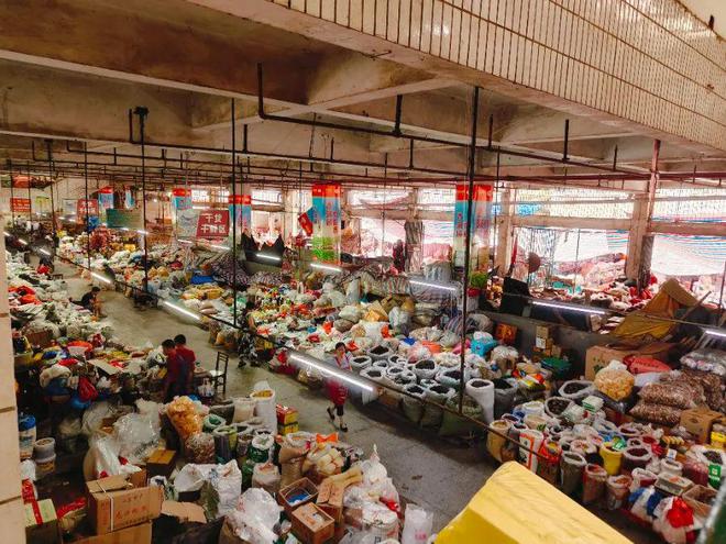 全州最新资讯深度解析与观点论述