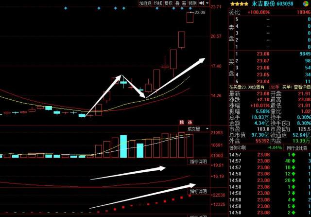 股市冒险之旅，小李揭秘半仓与全仓的股市故事与意义
