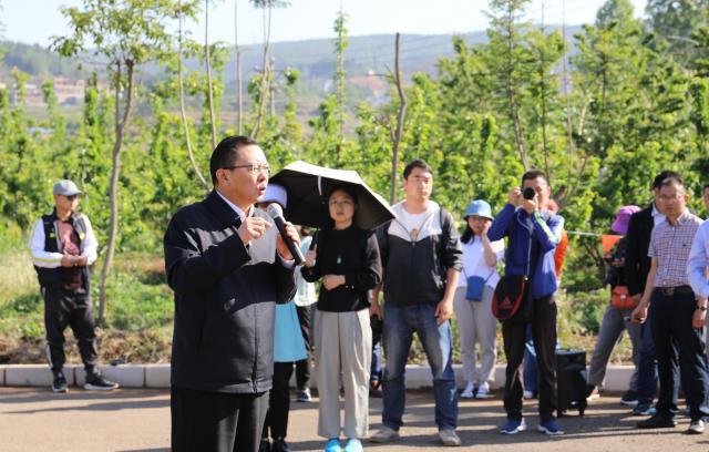 云南黄云波最新动态揭秘,步骤指南更新发布