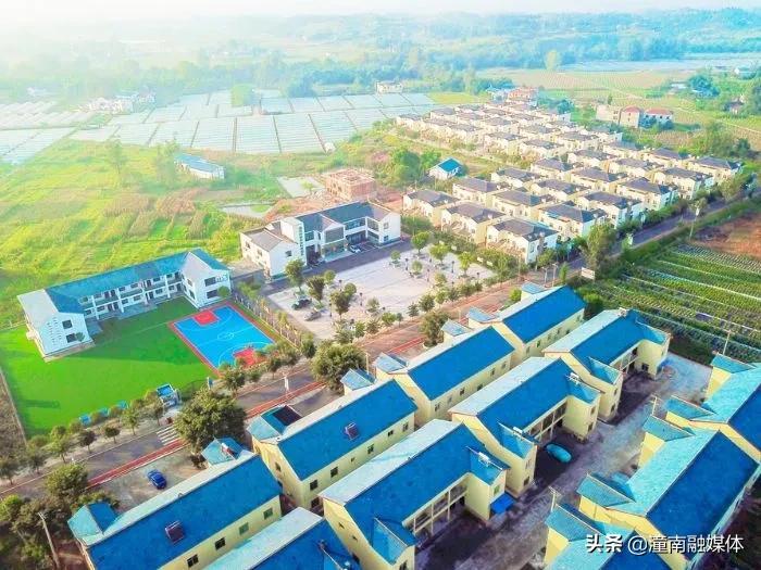 特一制药股票的日常故事与走势分析