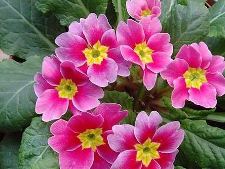 种太阳合唱比赛视频,青春激情,奏响梦想之歌!