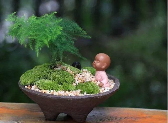 种太阳合唱比赛视频,青春激情,奏响梦想之歌!