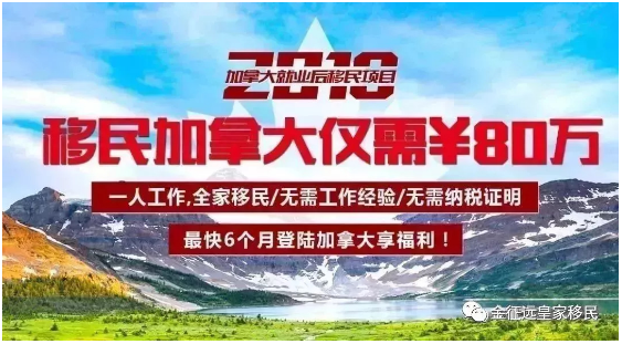 加拿大移民政策最新动态2024年详解及申请步骤指南