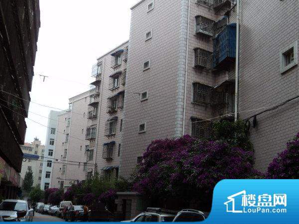 最新小区网,现代生活方式的兴起与争议热议