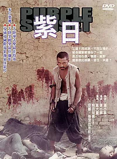 今日热门电影,一场温馨的电影之旅