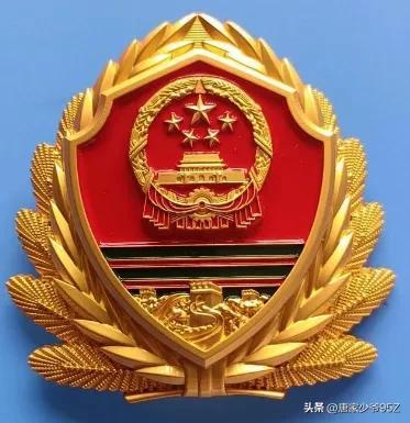 警徽新颜,荣耀与担当的交织,展现警队力量与责任🚩