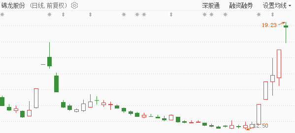 龙洲股份最新公告更新,重要信息一览