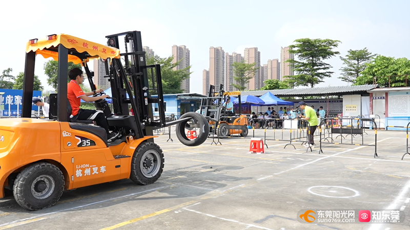 东莞叉车司机最新招聘信息闪耀发布✨