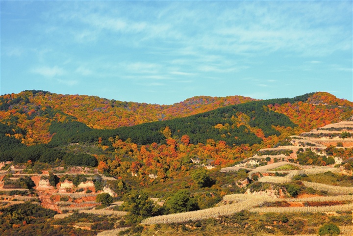 汾西贴吧最新动态,网络热议的焦点