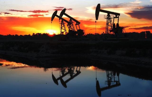 大庆地震最新消息今日汇总,多方观点分析与个人立场探讨