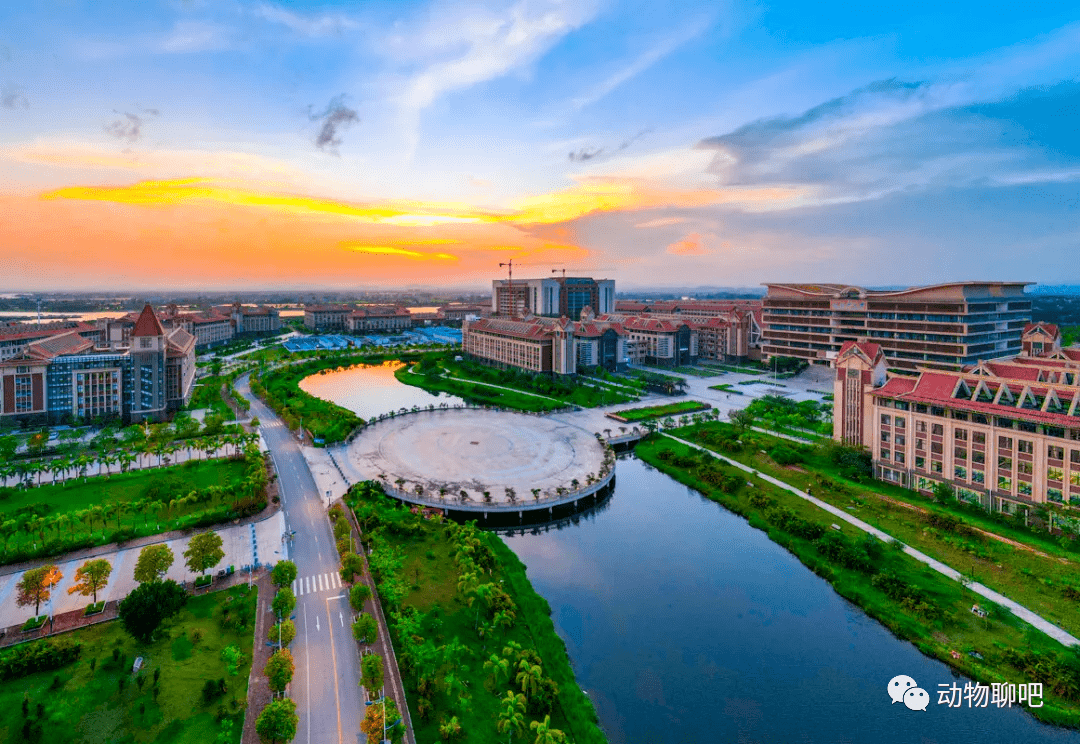 北部湾大学最新动态,入学指南与技能学习步骤全解析