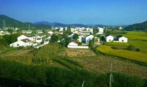 河南农村土地最新政策解读,政策细节与影响分析