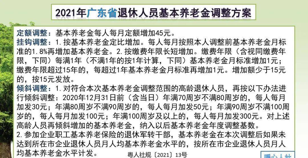 广东省退休金最新消息详解,步骤指南与最新动态更新