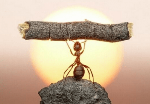 最新励志歌,小巷深处的音乐宝藏,激发无限动力