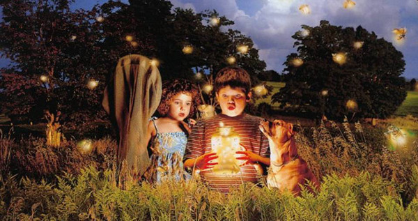 最新夜虫秀,自然美景的心灵之旅