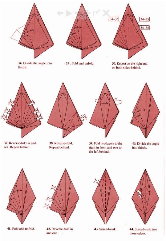 折纸蚂蚁最新作品揭秘,观点阐述汇总