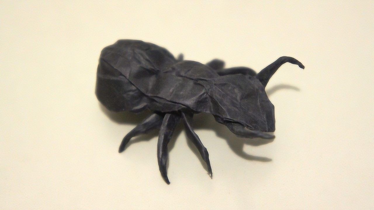 折纸蚂蚁最新作品揭秘,观点阐述汇总