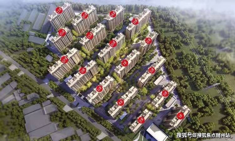 科技新宠来袭，揭秘300255最新消息，重塑未来生活体验新篇章