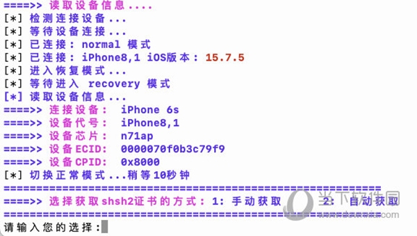 香港挂牌最新资料更新与小巷独特风味探秘揭秘