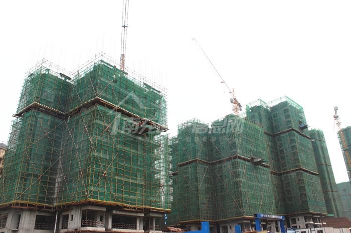 阳光白马城最新动态揭秘,多维探讨城市发展的未来