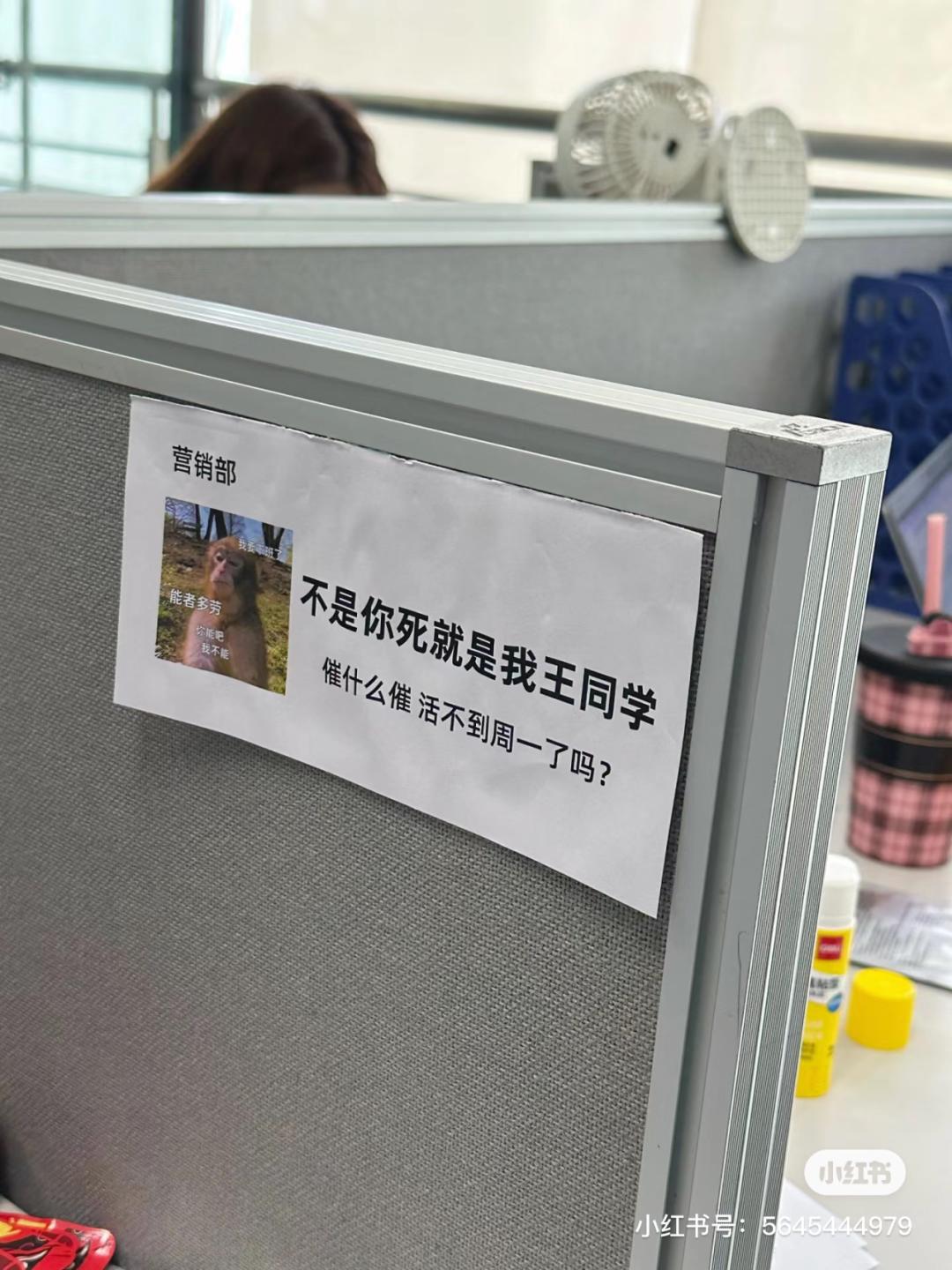 最新丝印走板工招聘,开启一段温馨有趣的职场之旅