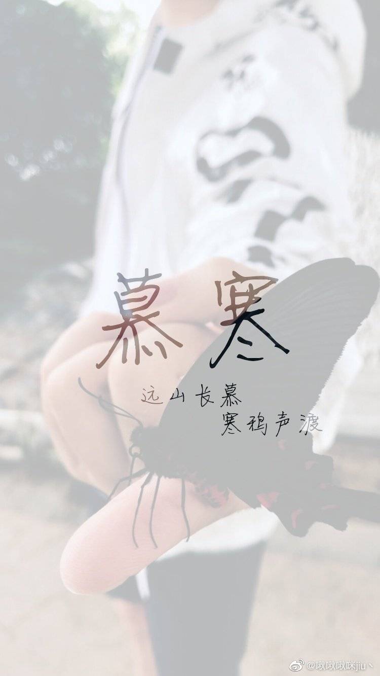 慕寒最新,科技之巅与生活之翼的融合