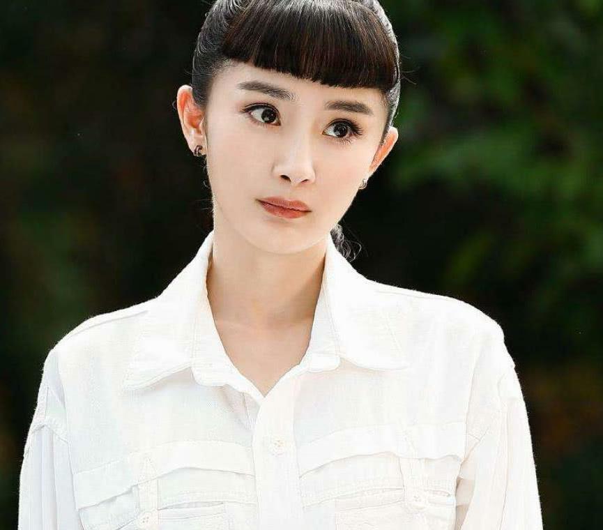 心灵与自然的完美邂逅，最新主演揭晓！