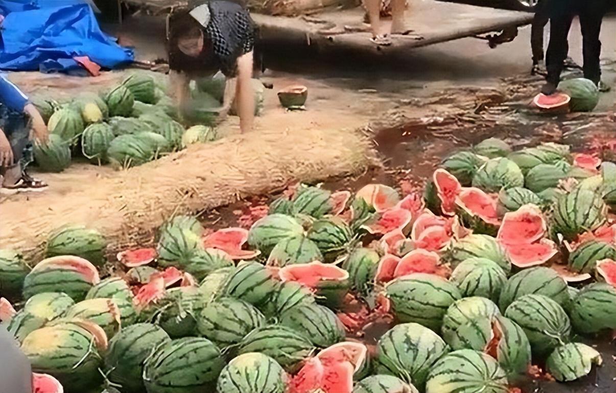 最新现场招聘现象深度分析,观点与个人洞察