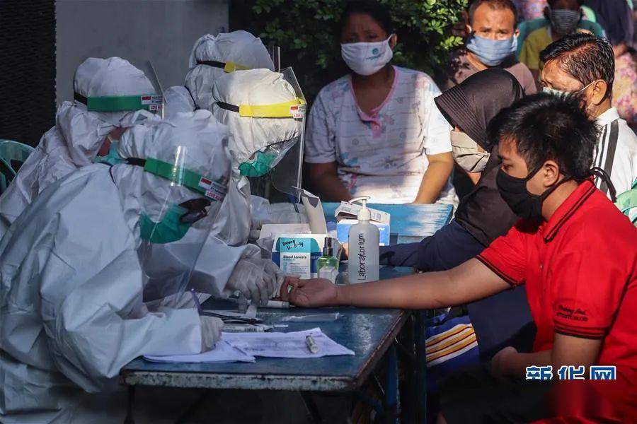 全面步骤指南,追究最新肺炎疫情的责任与应对之策