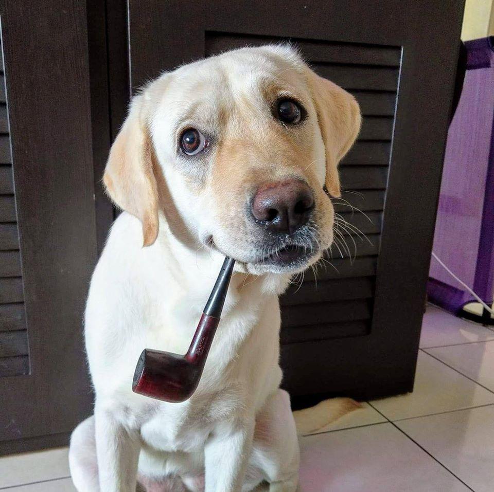 最新的人类,与自然美景的轻松遨游,探寻内心平和之旅