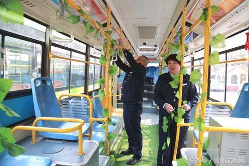 青岛藤蔓最新观点阐述,探索青岛藤蔓的独特魅力与独特观点