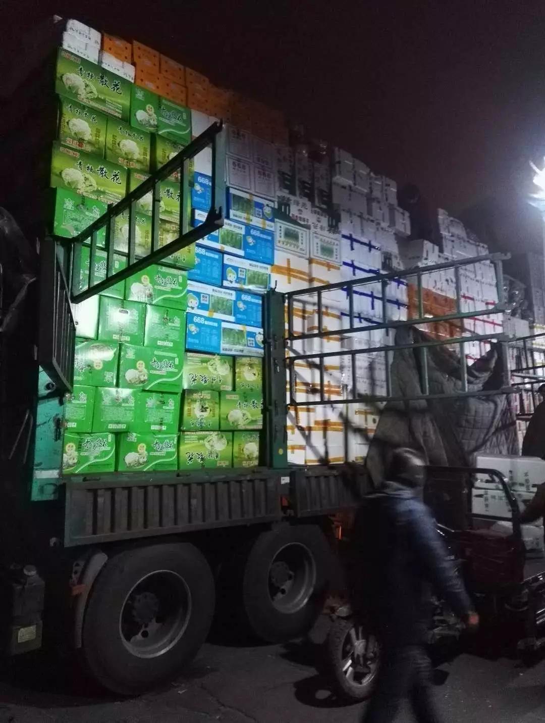 何庄子最新指南，完成任务或学习技能的步骤详解