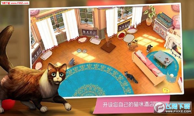 时代背景下的最新猫舍,猫咪的天堂